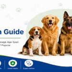 What Is the Average Lifespan of a Dog?