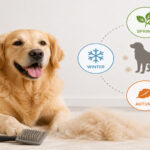 Dog Shedding Seasons: Which Dogs Shed Most?