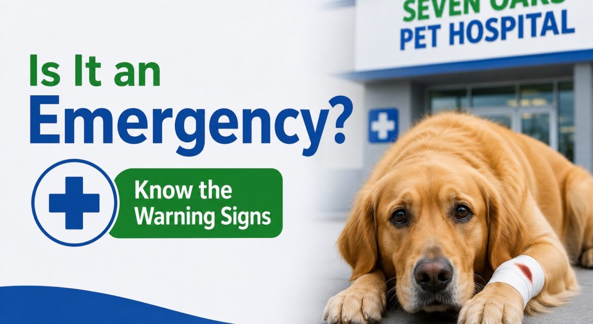 10 Signs Your Dog Needs Emergency Care