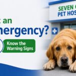 10 Signs Your Dog Needs Emergency Care