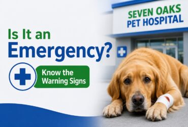 10 Signs Your Dog Needs Emergency Care